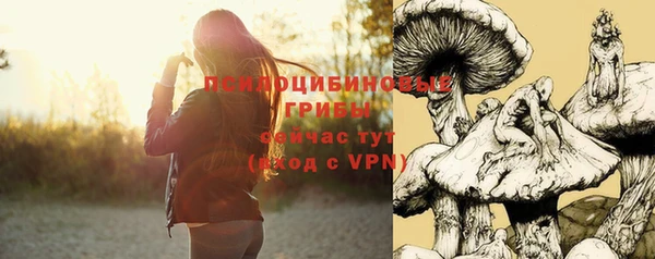 каннабис Арсеньев