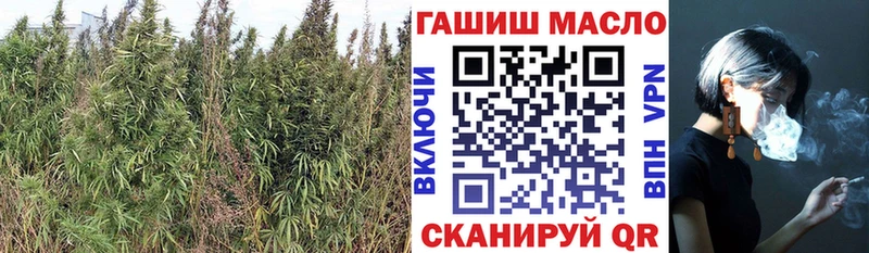 ТГК вейп с тгк Полысаево
