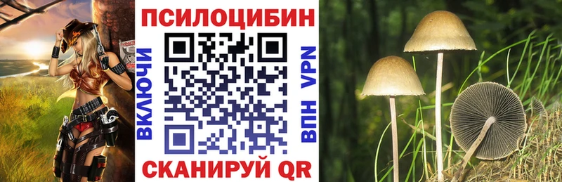 где найти   Полысаево  Галлюциногенные грибы Magic Shrooms 